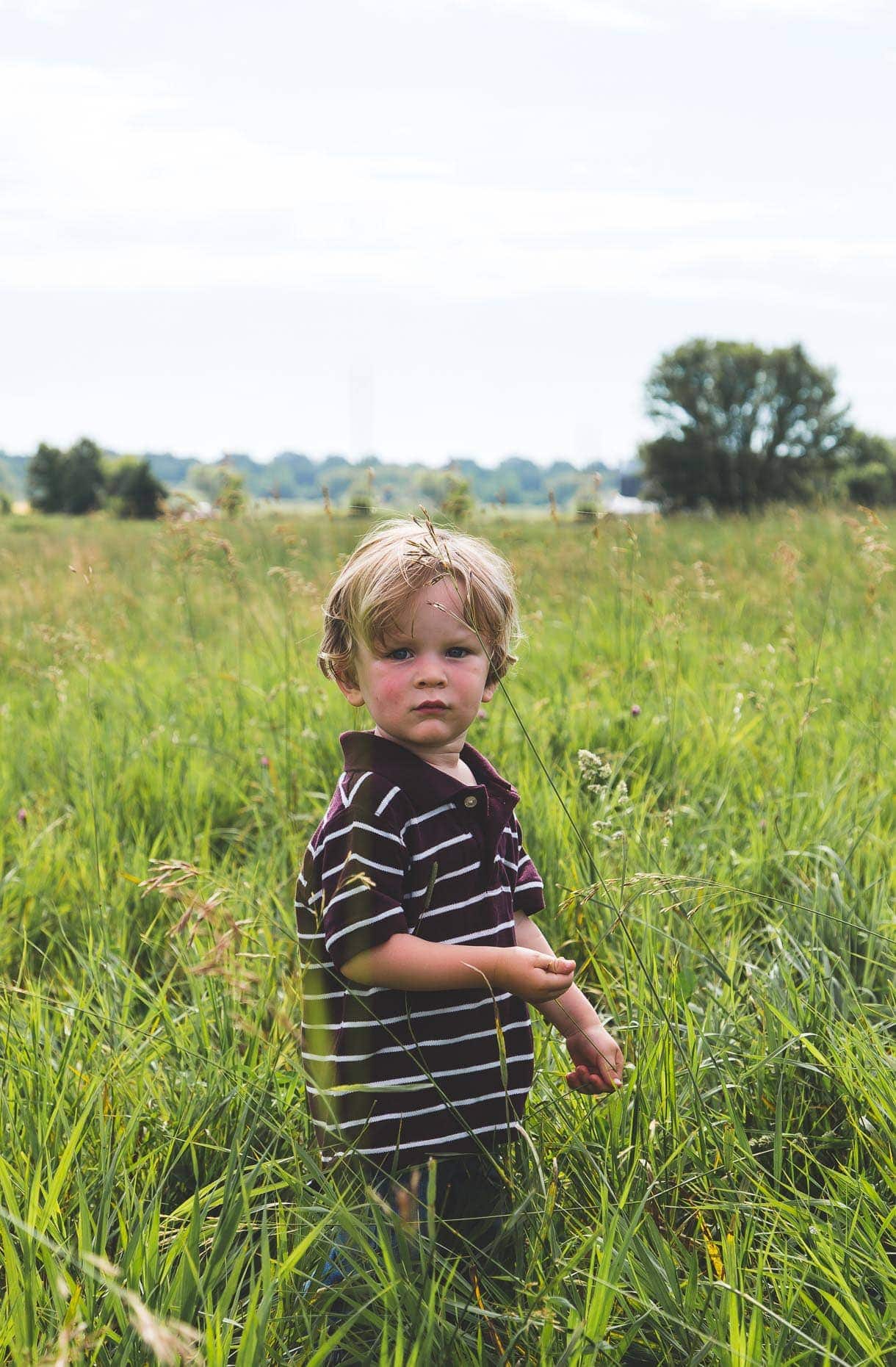 True Cost Farm - minnesota