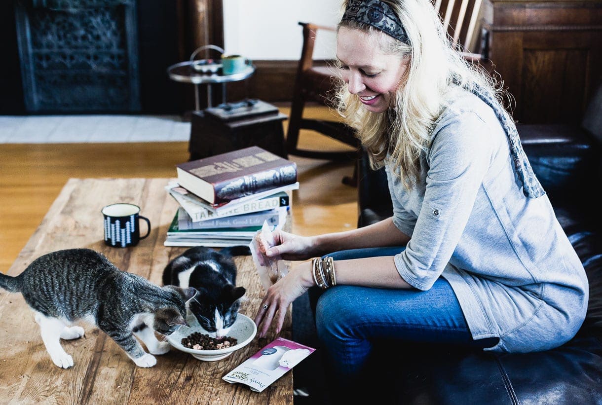Introducing Resident Cats To New Cats: The Universal Language of Eating Together Introducing Resident Cats To New Cats: The Universal Language of Eating Together