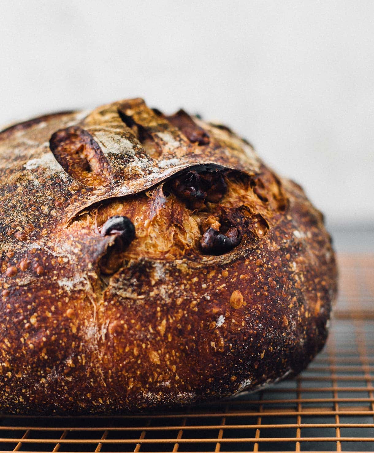 Roasted Walnut Sourdough Bread