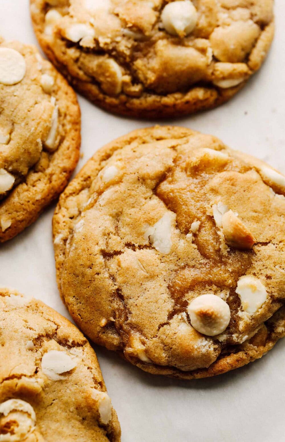 sourdough white chocolate macadamia nut cookies on white parchment paper